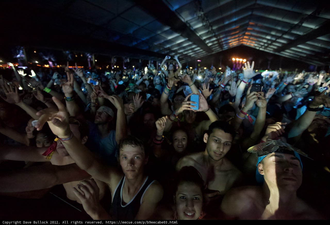 Urban Crowd at Night Life Concert