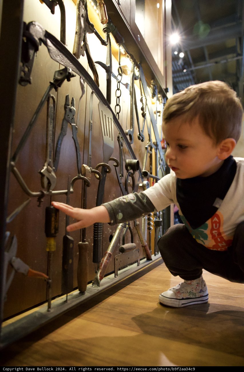 A Young Discoverer
