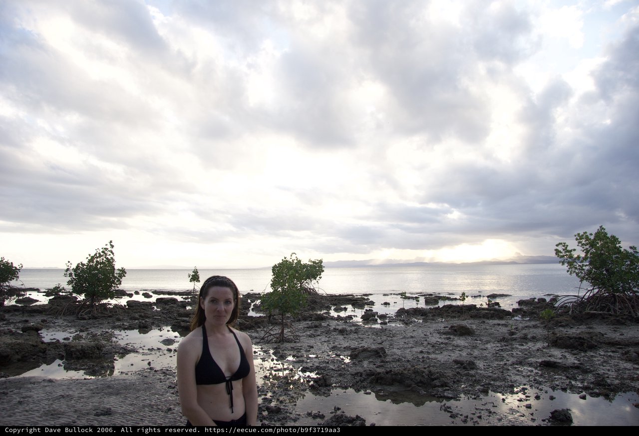 Woman at Rocky Shoreline During Overcast Fiji Sunset