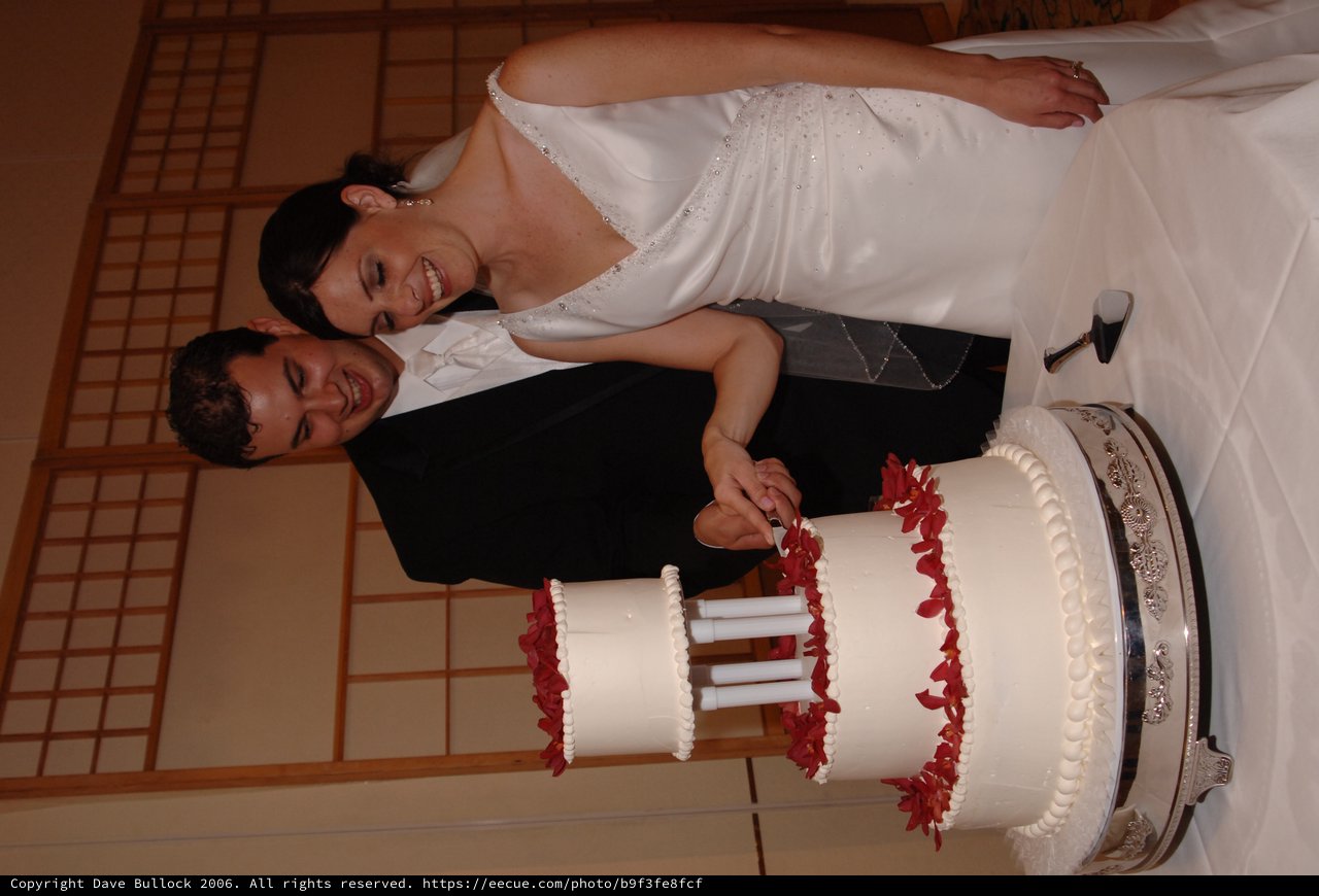 Bride and Groom Cut Their Wedding Cake Together
