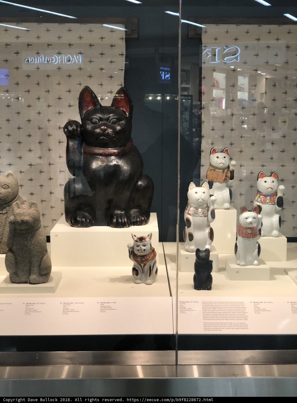 Feline Figurines on Display
