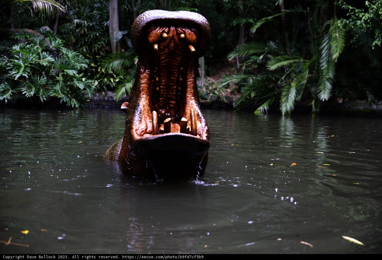 Majestic Hippo Encounter at Disneyland