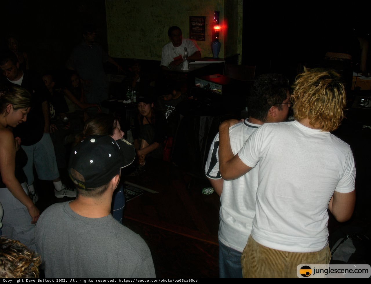 Nightclub Crowd