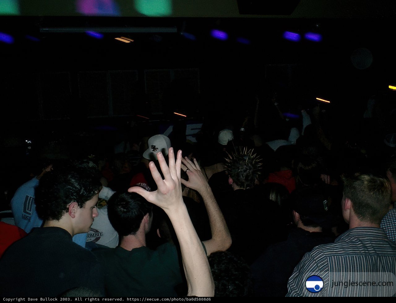 Party-goers with their hands up
