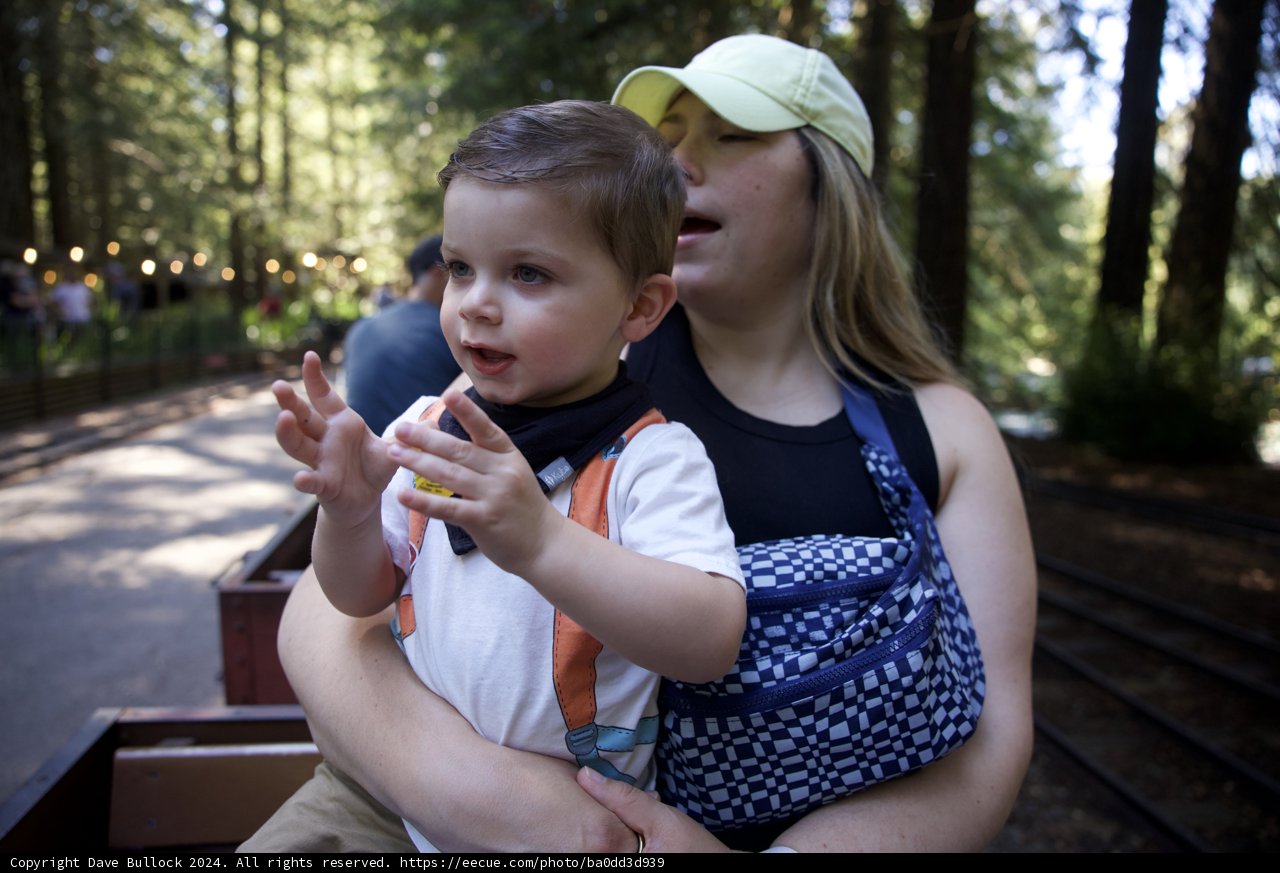 Moments of Wonder in Walnut Creek