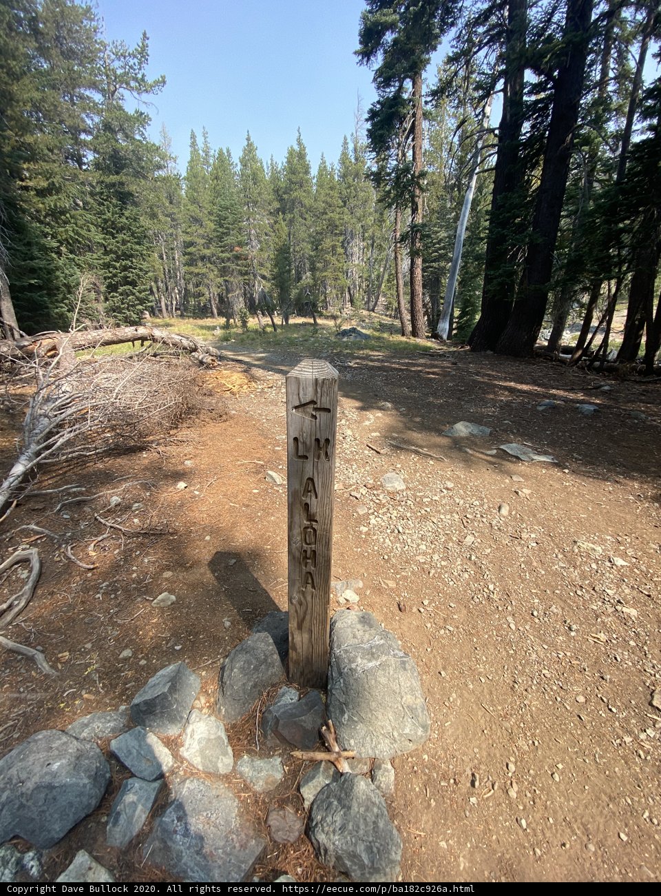 Trail marker in Desolation Wilderness Caption: A sign marking a trail through a beautiful grove of fir trees and other vegetation, surrounded by rocks and a clear blue sky in Desolation Wilderness, California.
