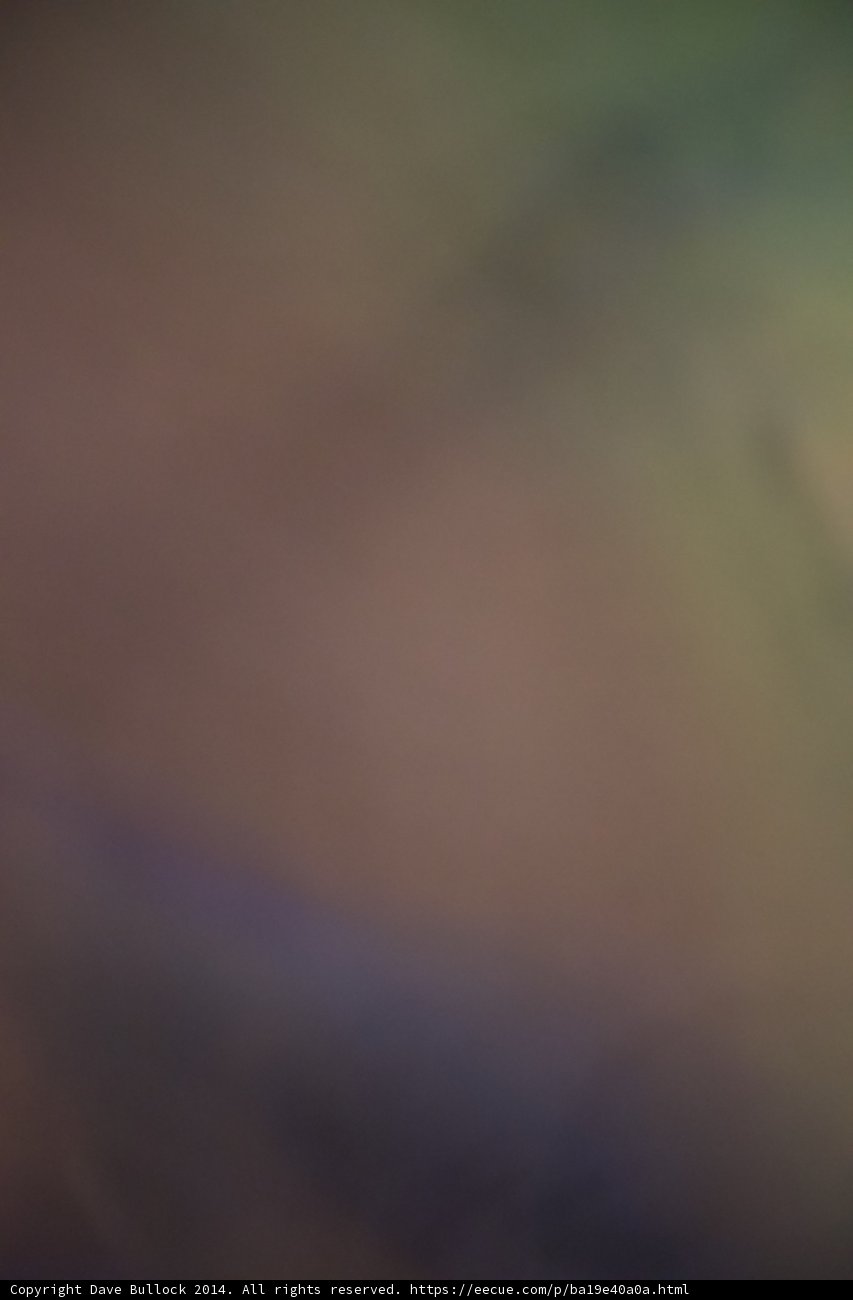 Flight of the Blurry Bird