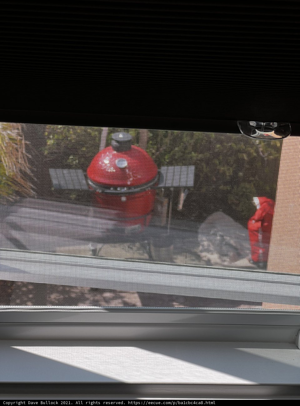 Red Grill Behind the Glass