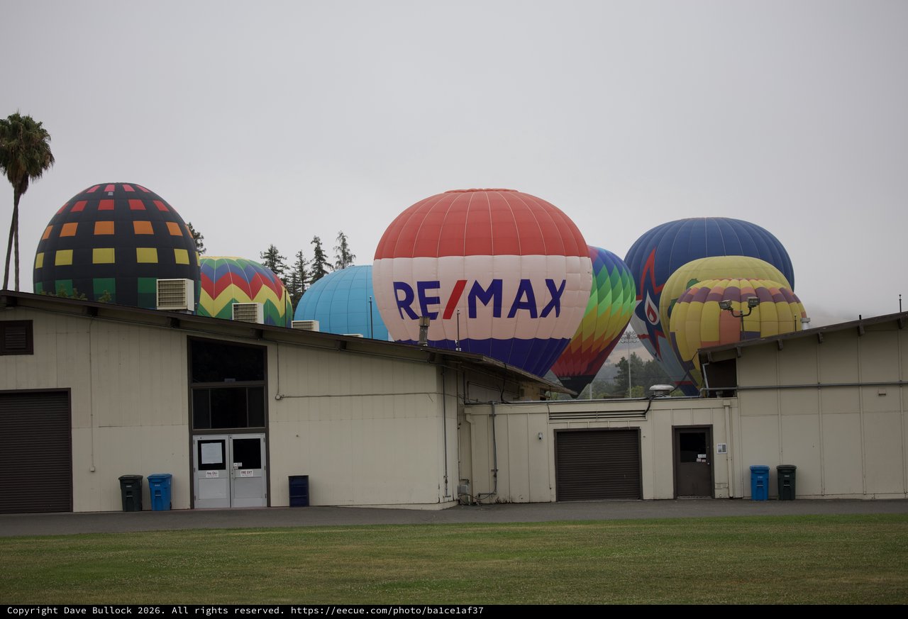 RE/MAX Hot Air Balloons Rise Over Fairgrounds Buildings