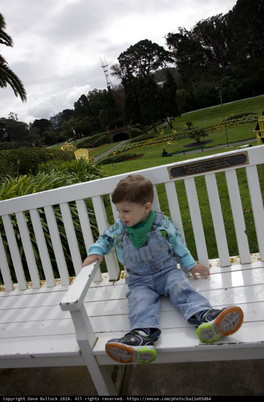 Sunlit Solitude at the Conservatory: A Portrait