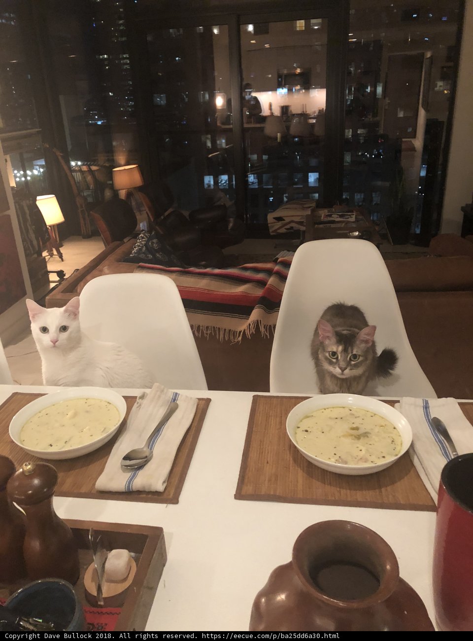 Feline Foodies