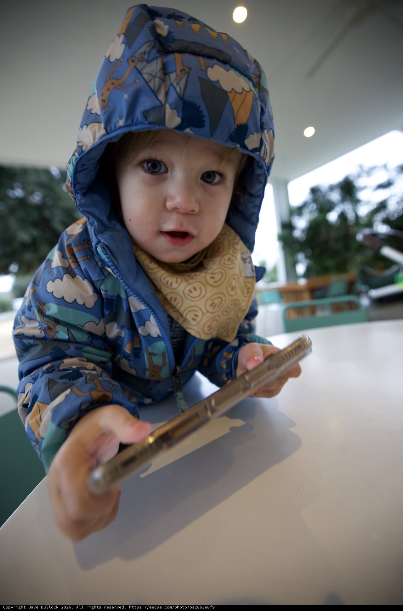 Toddler in Blue Patterned Raincoat at Restaurant