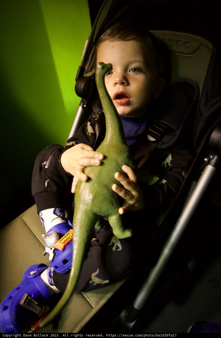Wesley's Dinosaur Adventure at Golden Gate Park