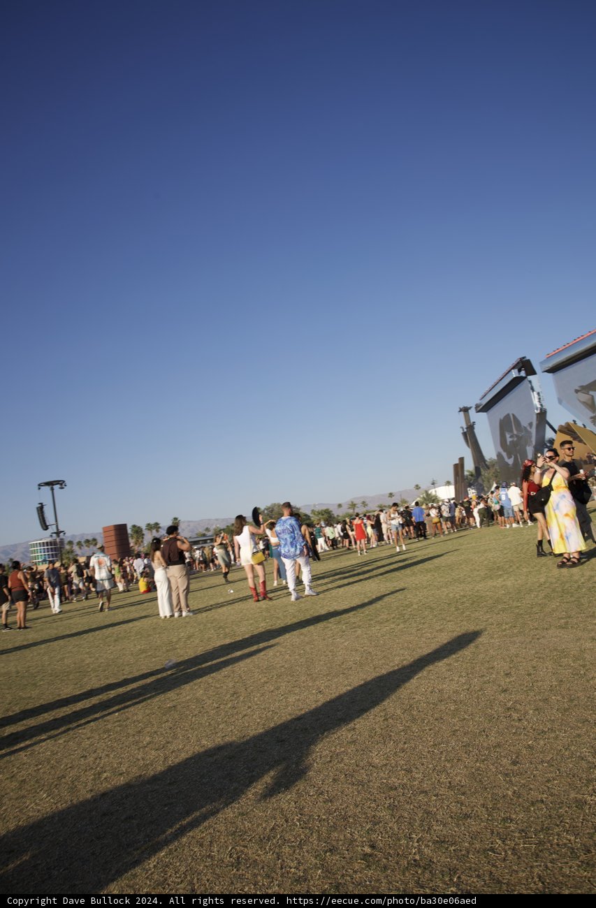 Sunny Vibes at Coachella 2024