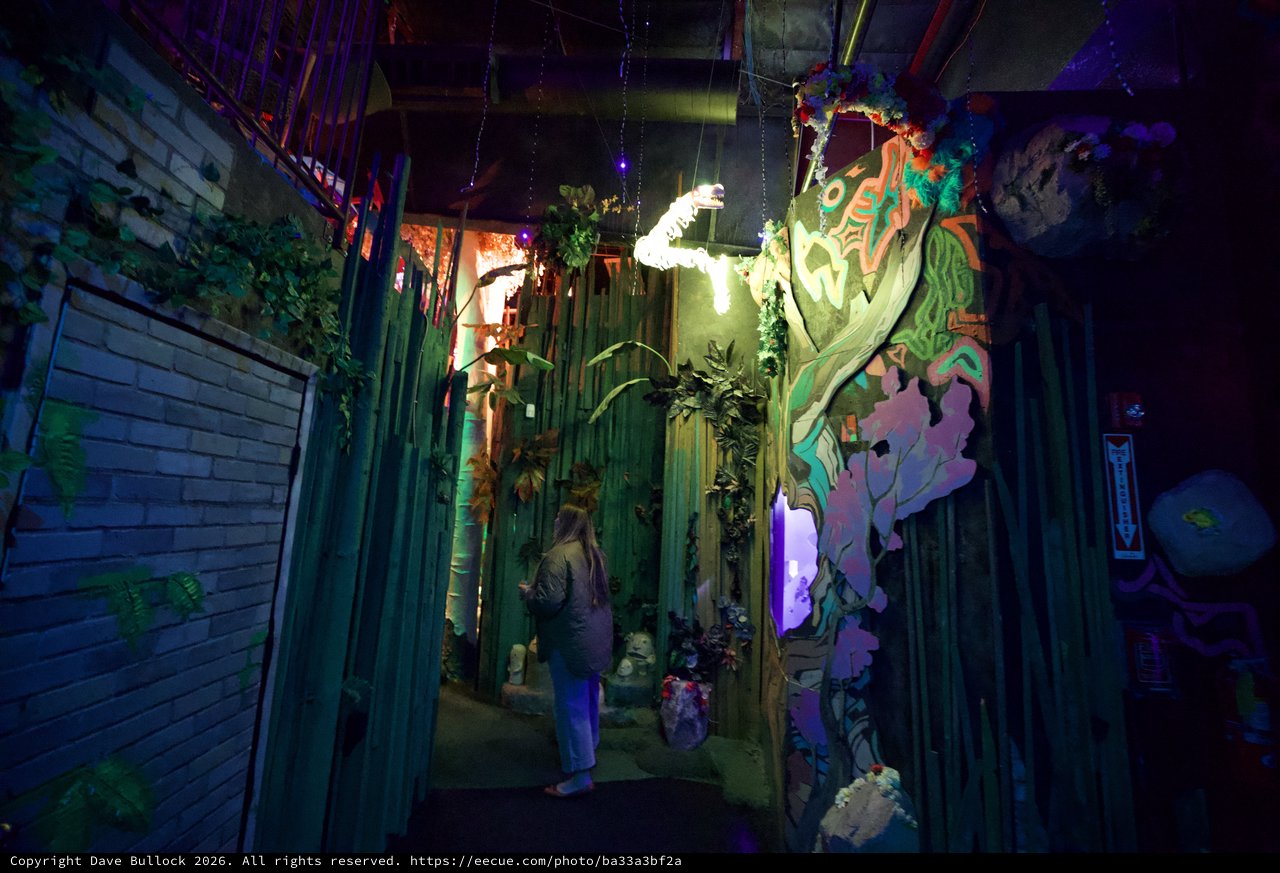 Immersive Art Installation with Neon and Nature Elements