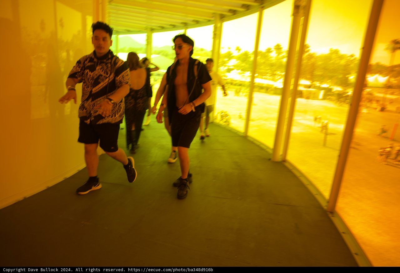 Stride and Vibe: Coachella 2024 Week 2