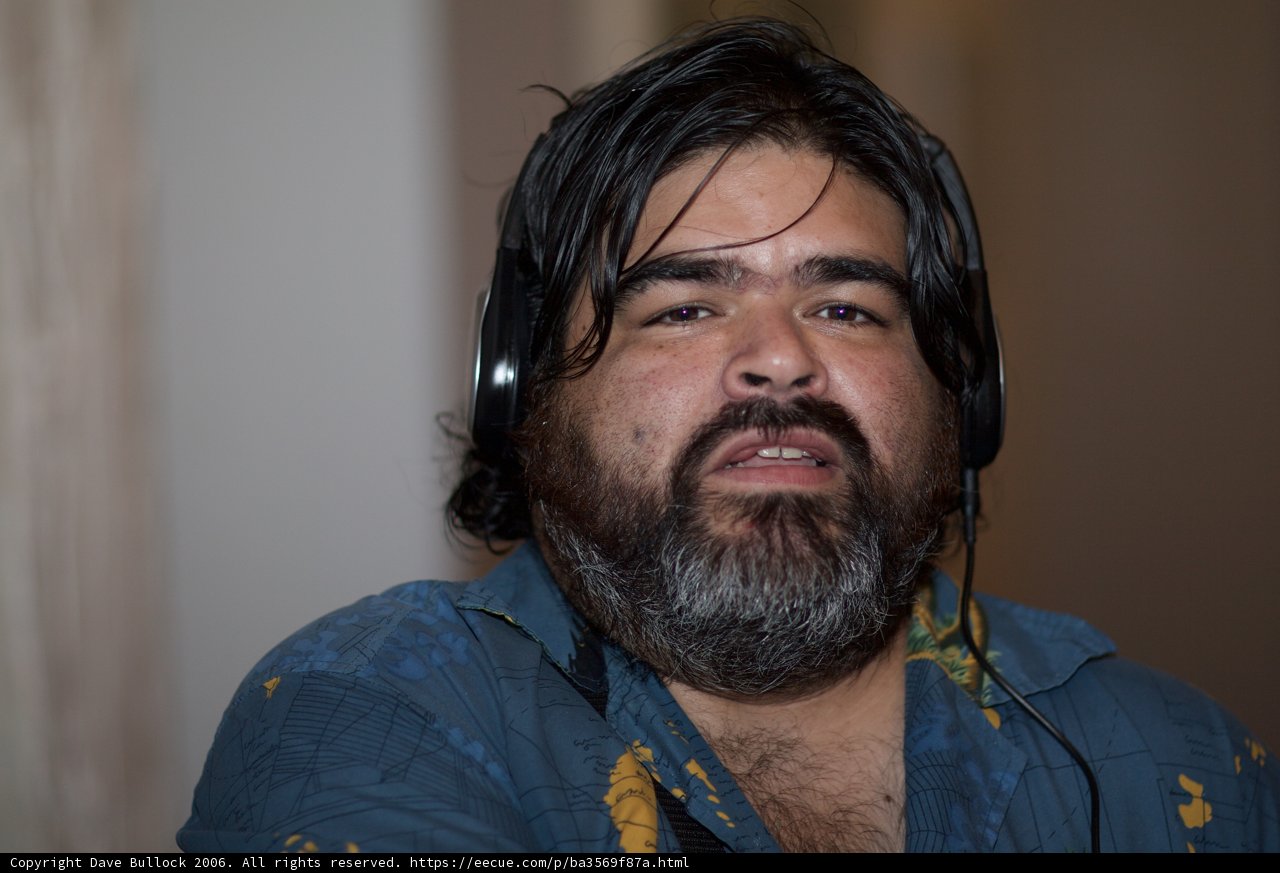 The Bearded Audiophile