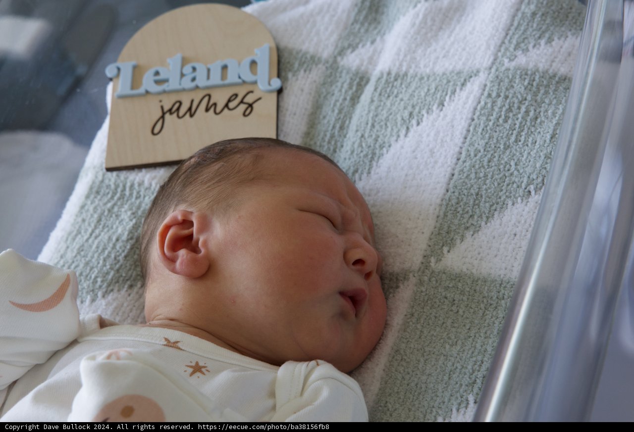 Welcome to the World, Leland James