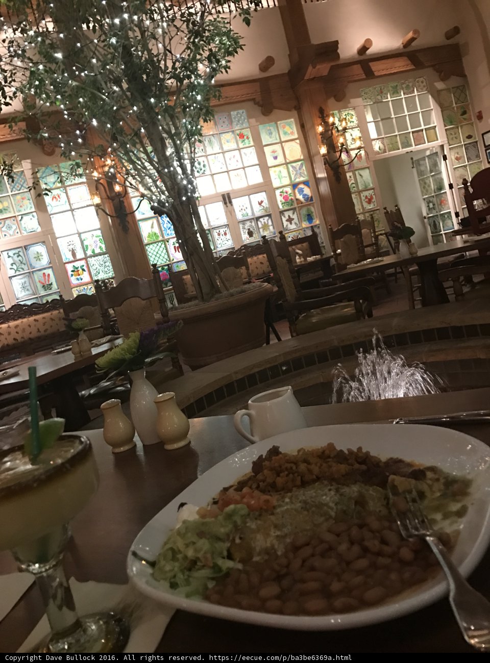 Feast for the Senses