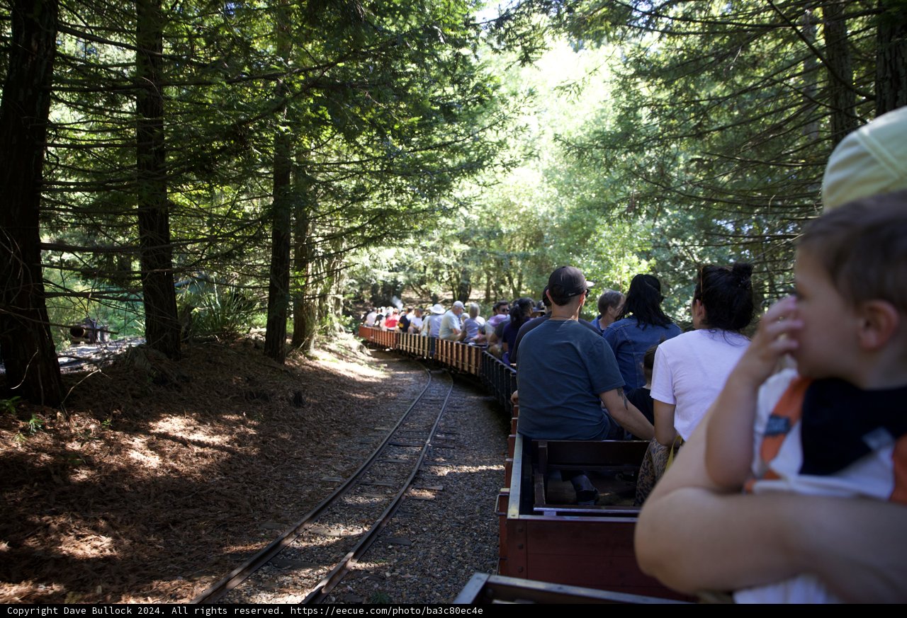 Journey Through the Woods: A Day Aboard the Tilden Steam Train