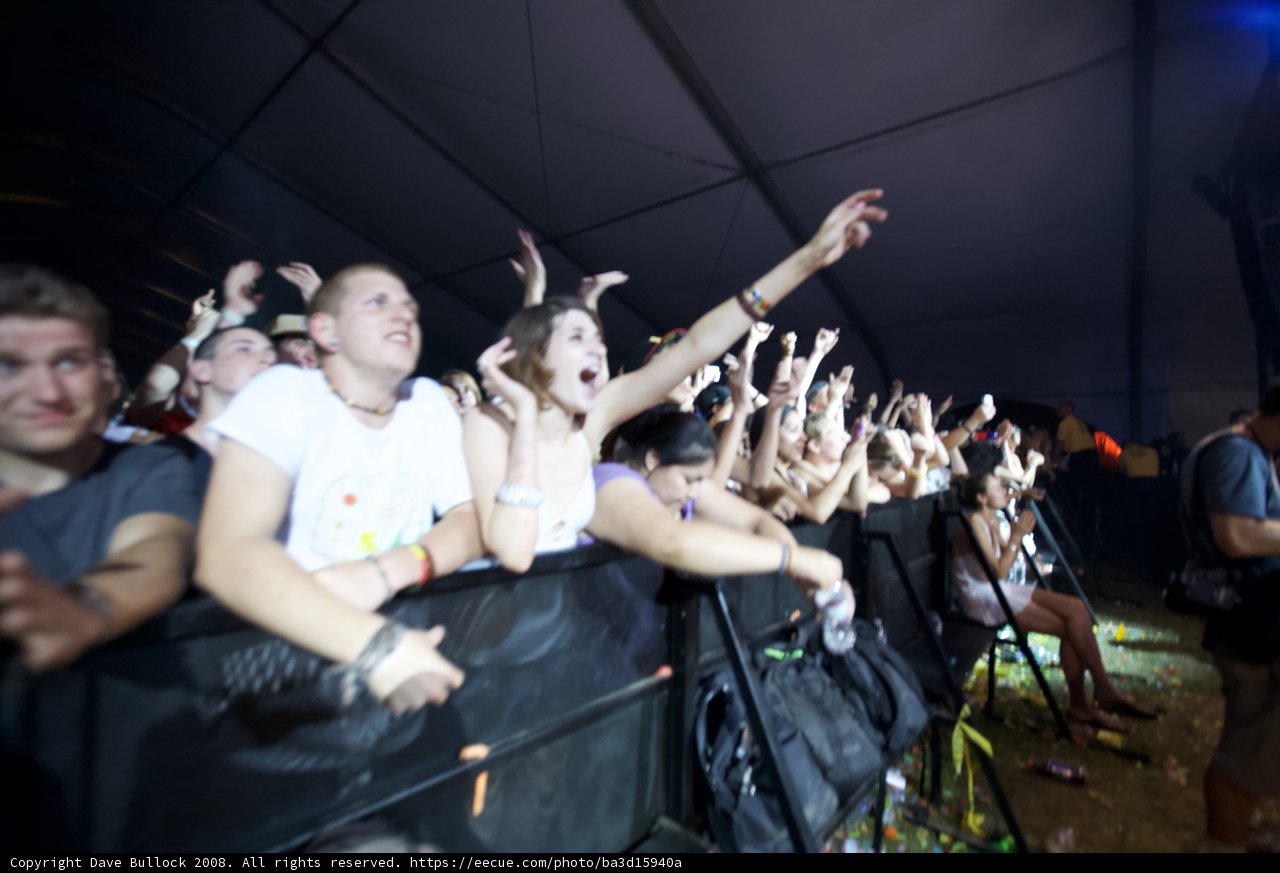 Grooving at Coachella 2008