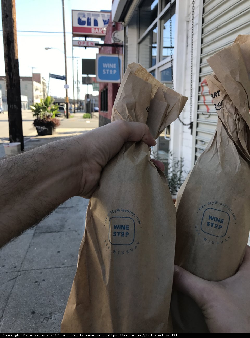 Carrying Home the Groceries