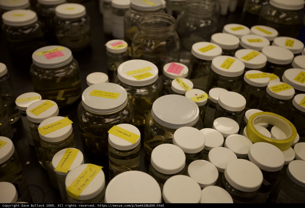 Jars galore at California Science Center