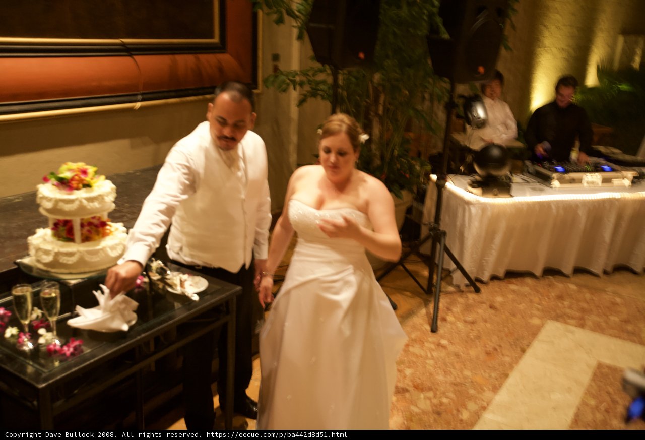 Cutting the Wedding Cake