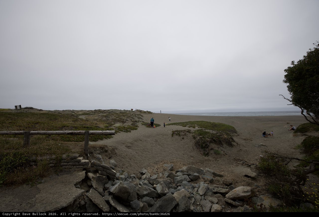 Overcast Beach Dunes on a Gray Summer Day