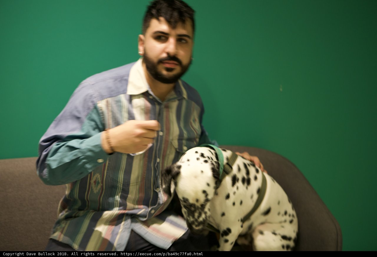 Man's Best Friend