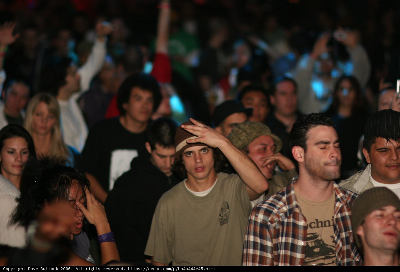 Nightlife Concert Chaos
