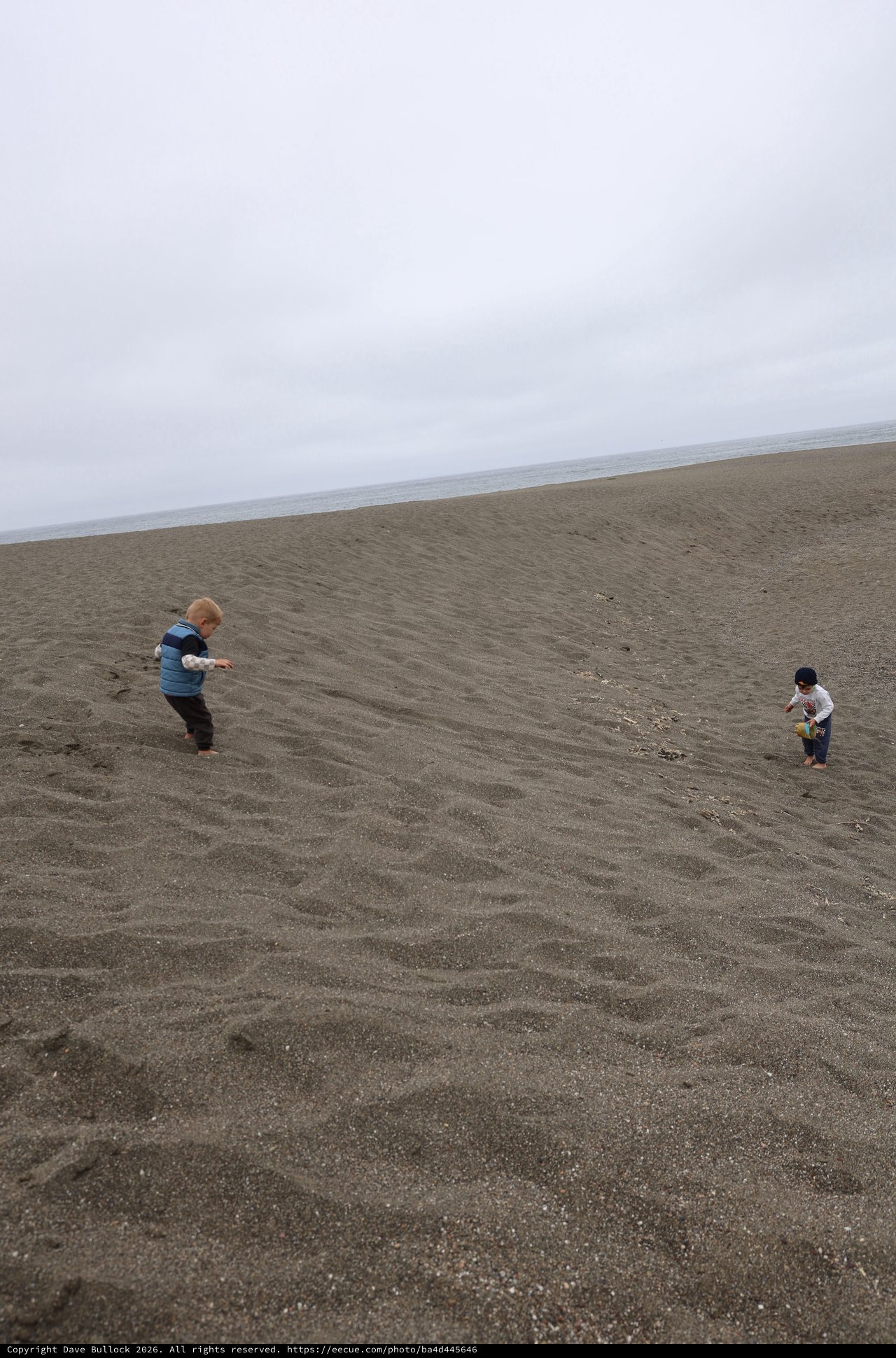 Two Toddlers Exploring a Vast Overcast Beach