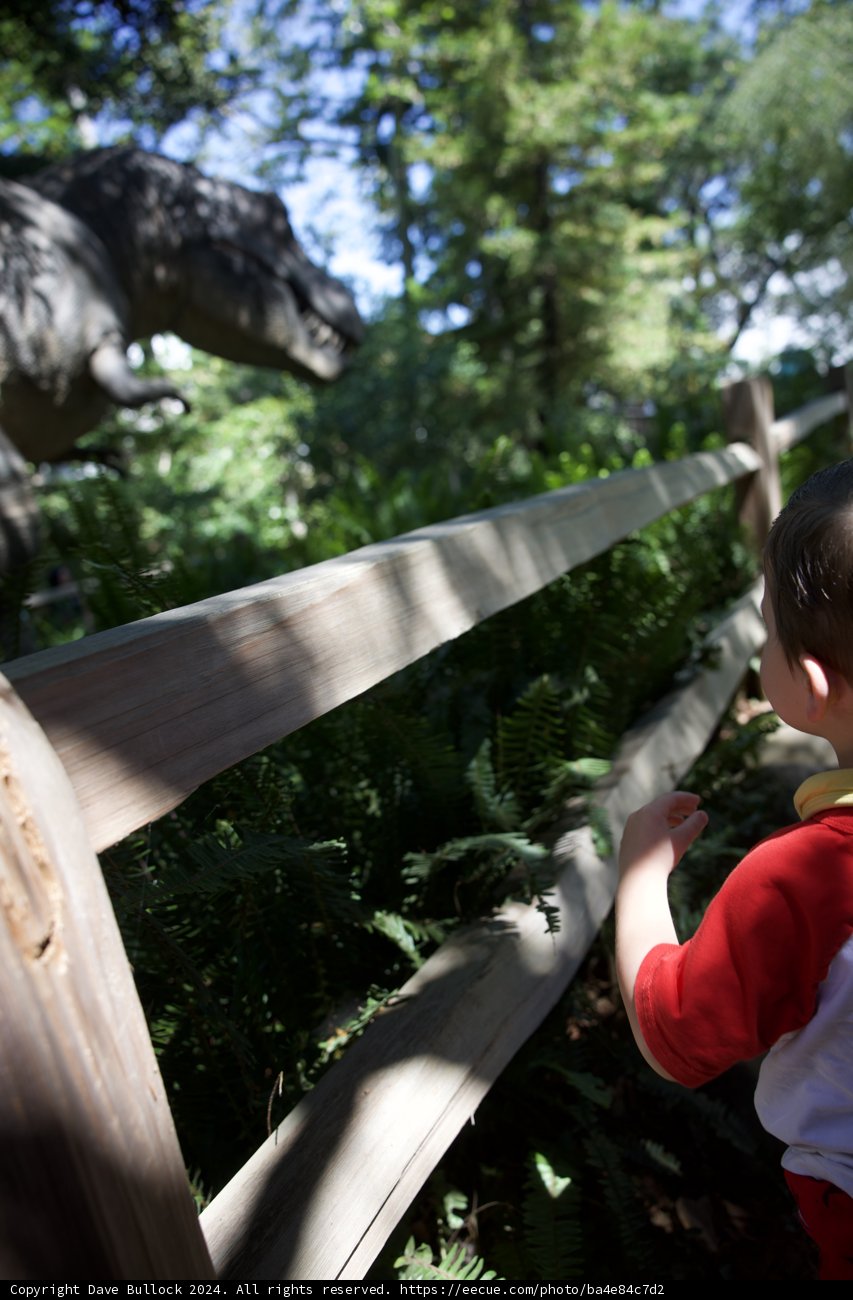 Dino Adventure in the Jungle