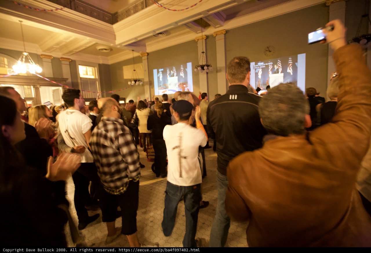 Crowding Around Democracy