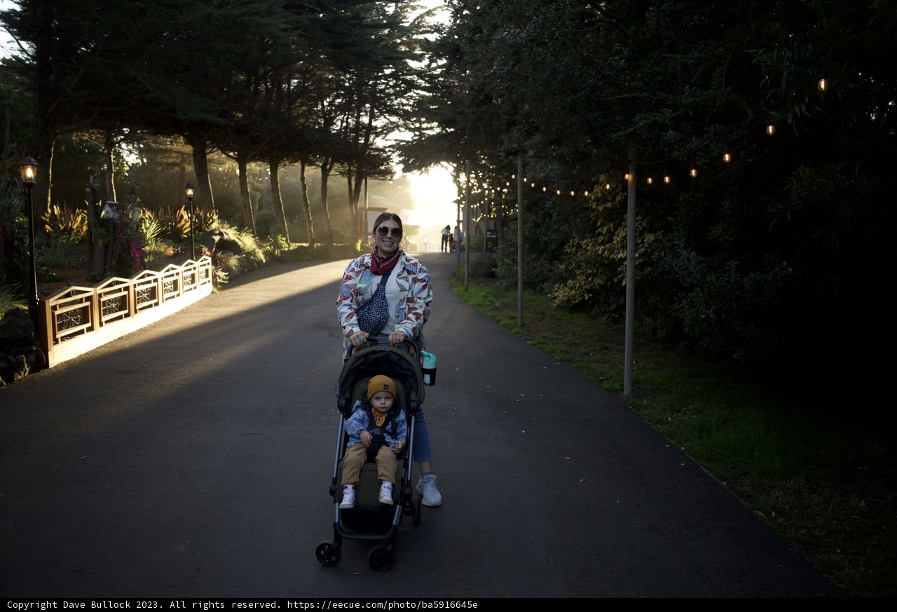 Joyful Stroll in Urban Wonderland