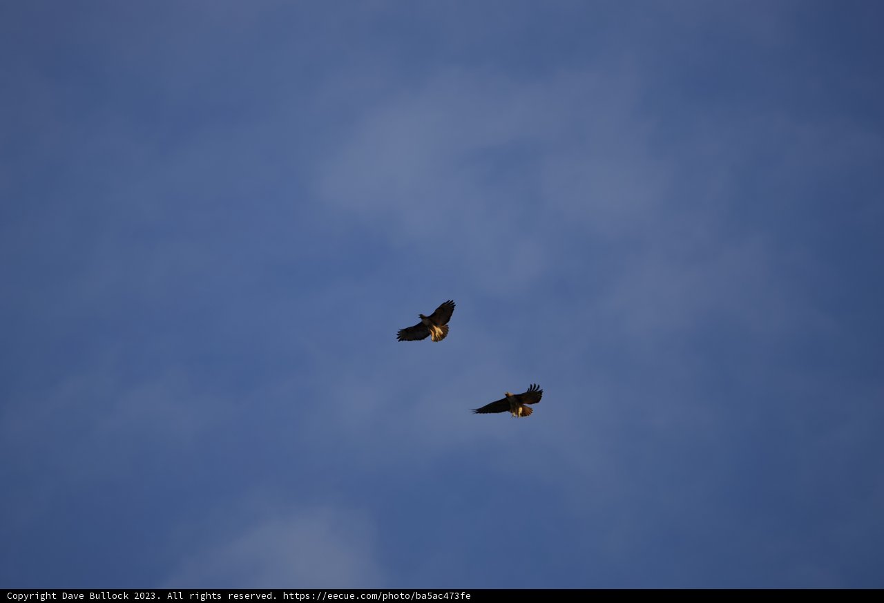 Freedom Dance in the Azure