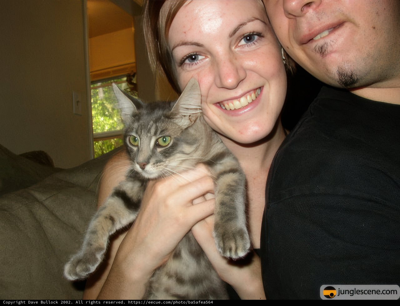 Feline Friends