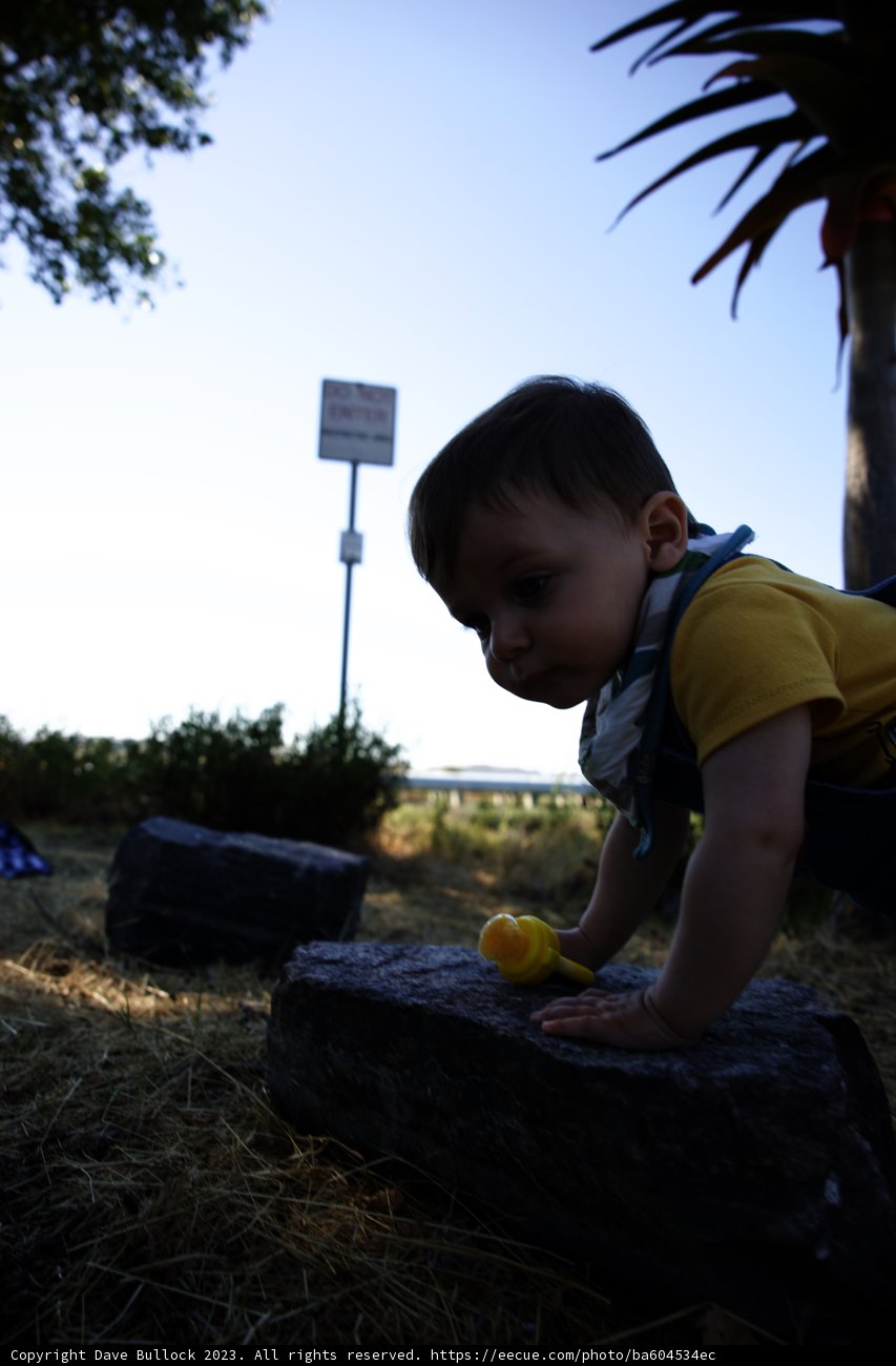 Innocence Unleashed: A Delightful Summer Day