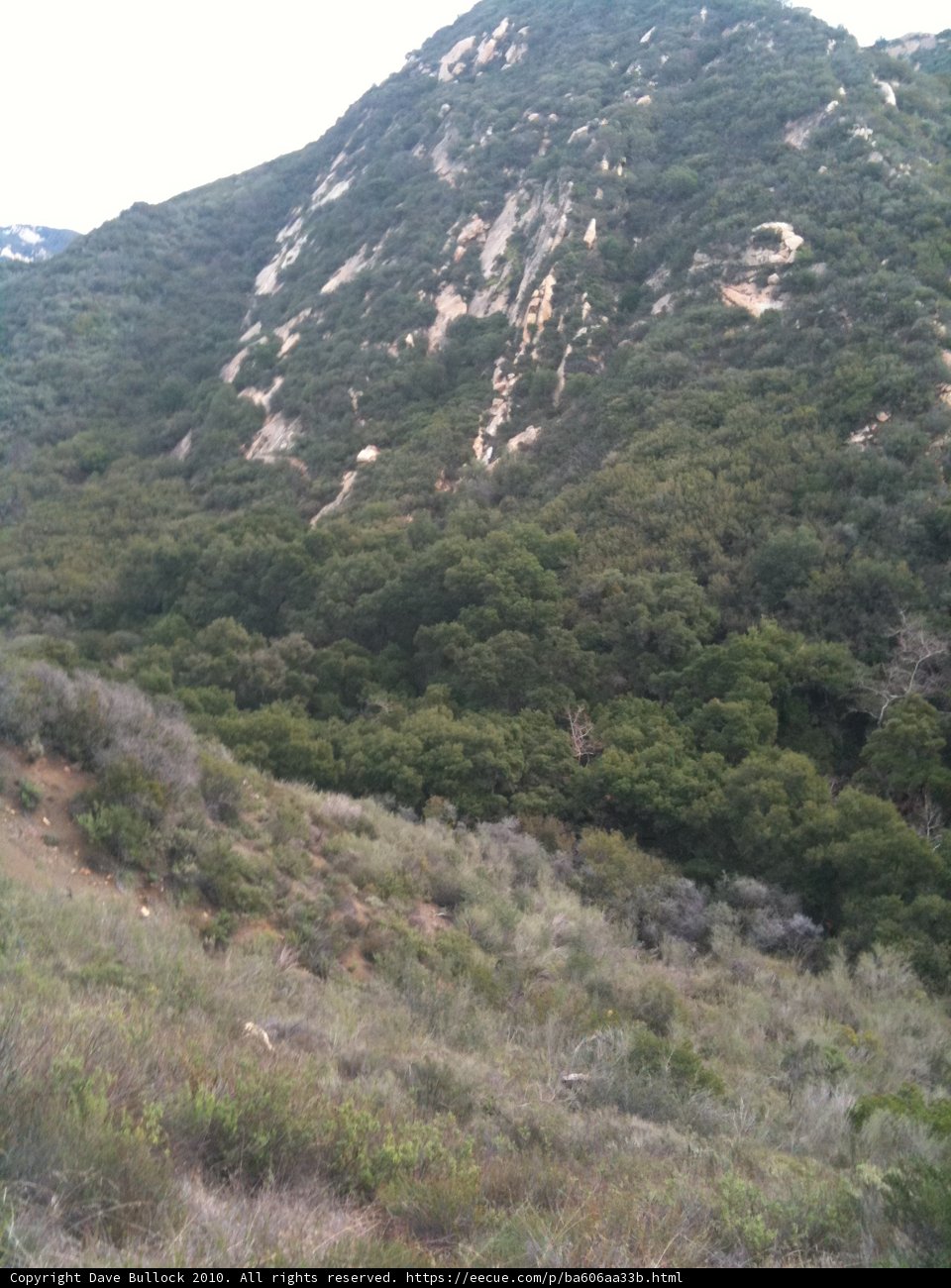 Serene Wilderness Mountain