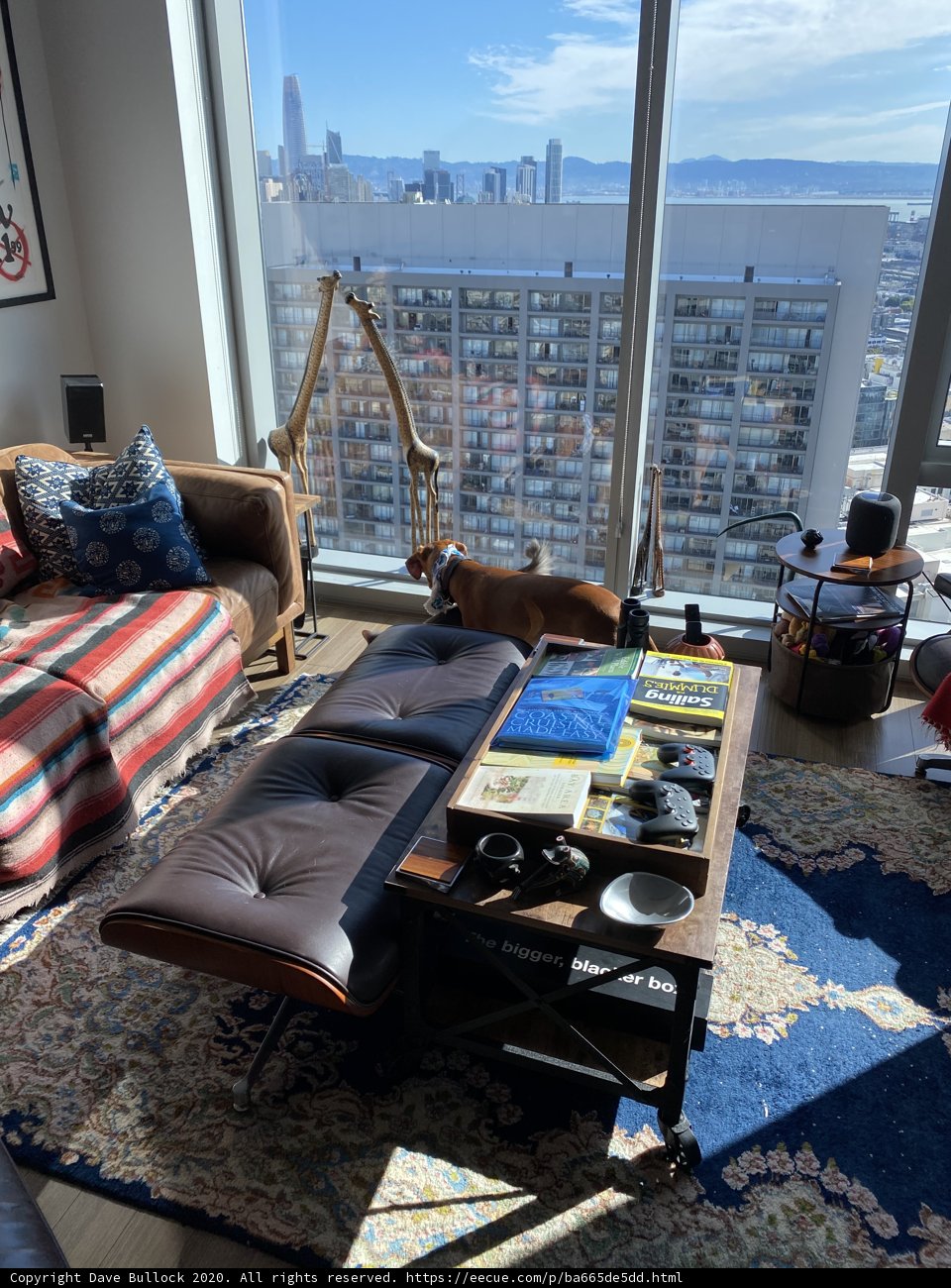 Comfort and Chic in the Heart of San Francisco