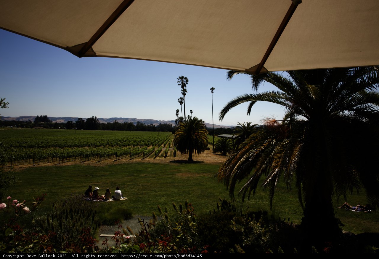 Summer Bliss in the Countryside
