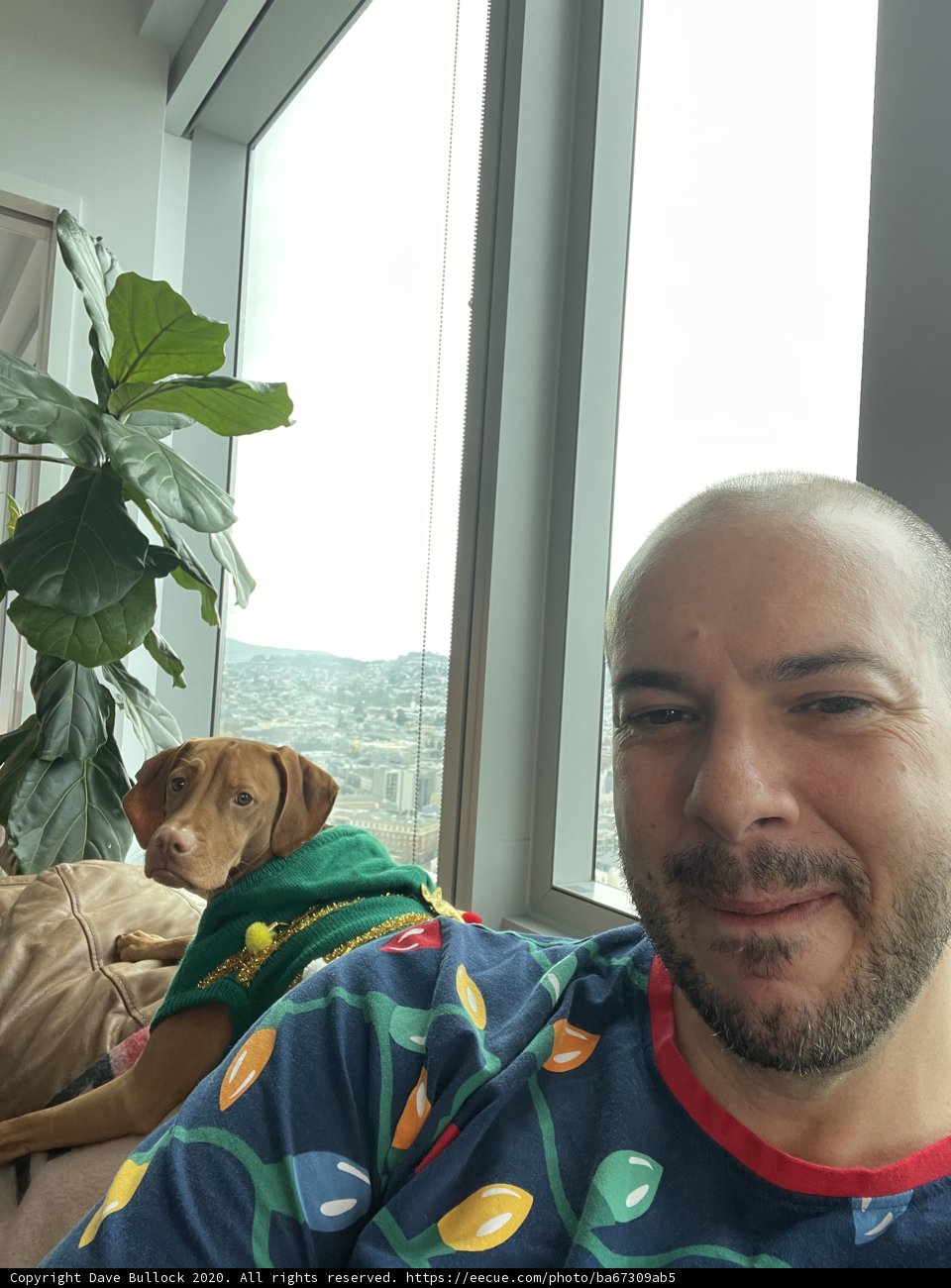 Christmas Selfie with My Pup