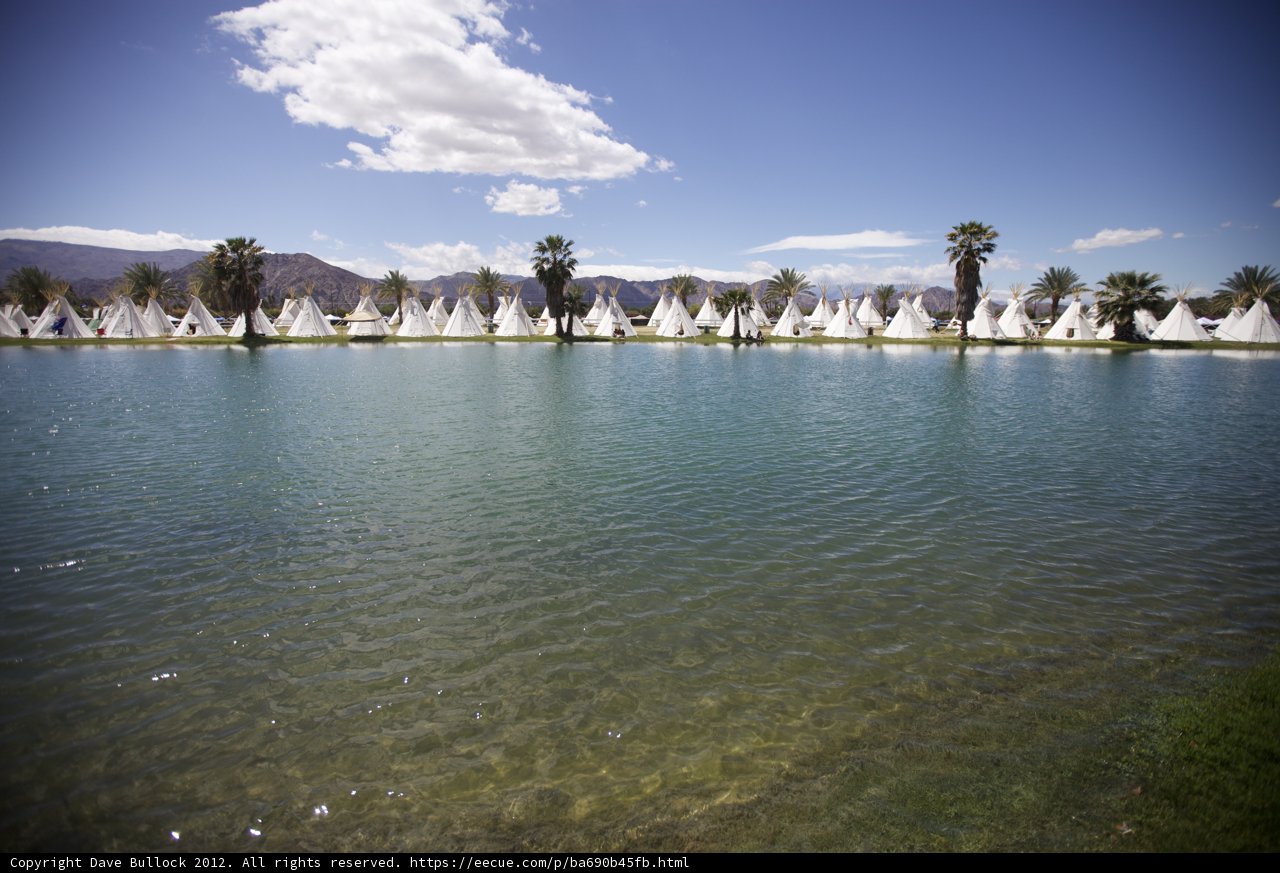 Serene Summer Scene