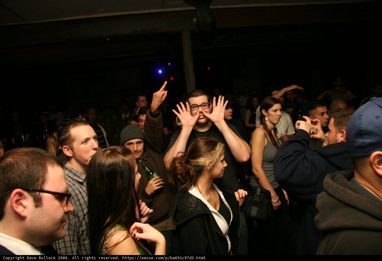 Partygoers with Hands in the Air