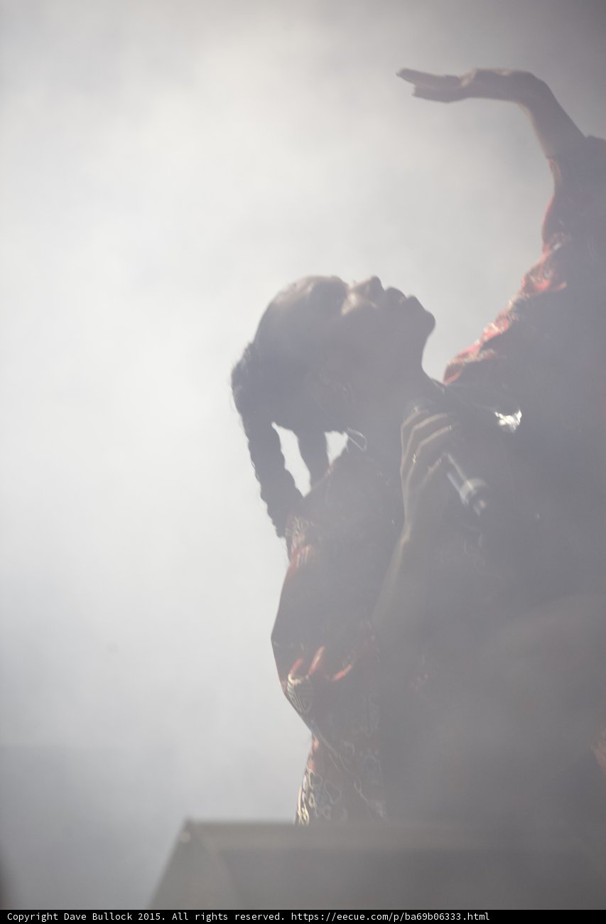 FKA twigs Silhouette Looking Up Arm Raised Elegant Hand Red Brocade Kimono Braided Ponytails Heavy White Backlit Haze
