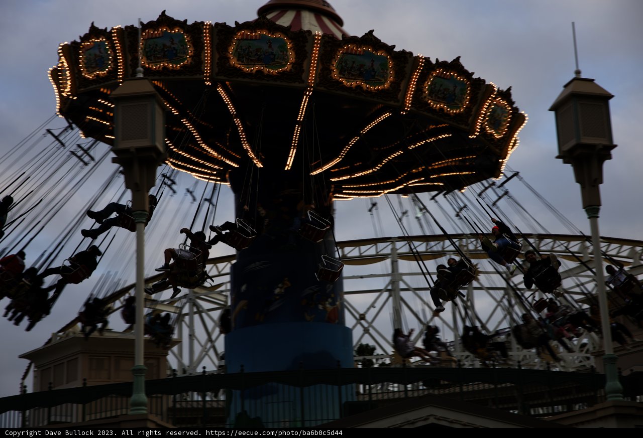 Magical Carousel Adventure at Disneyland