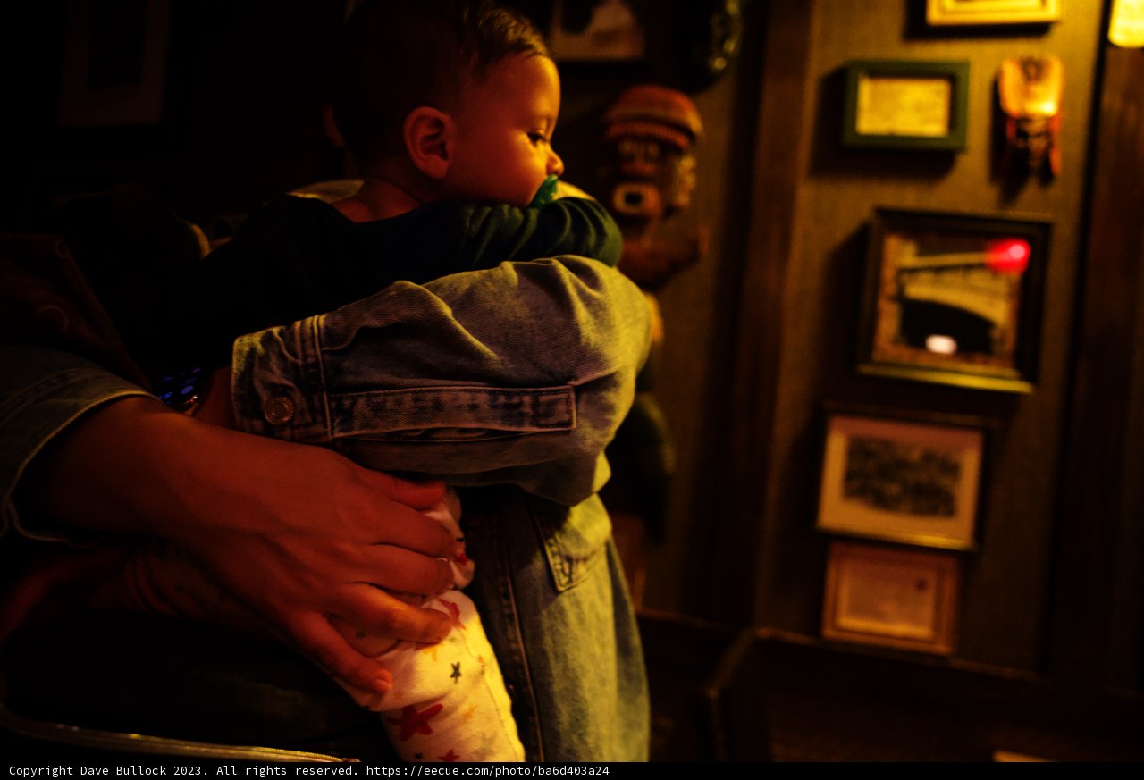 Family Moments at Disneyland