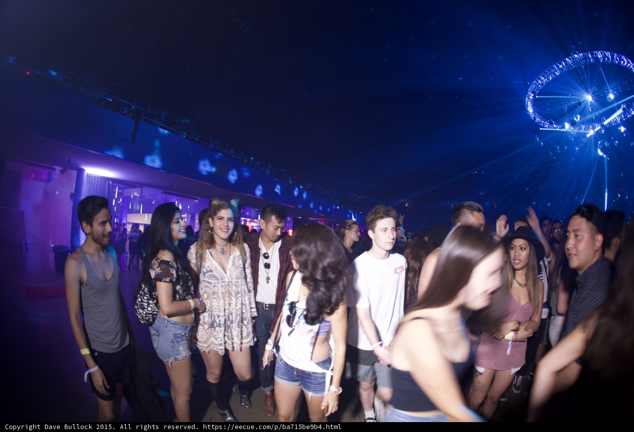 Festival Friends at Arena