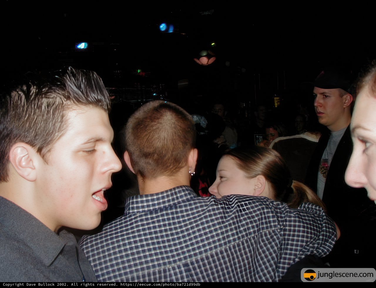Night Club Gathering