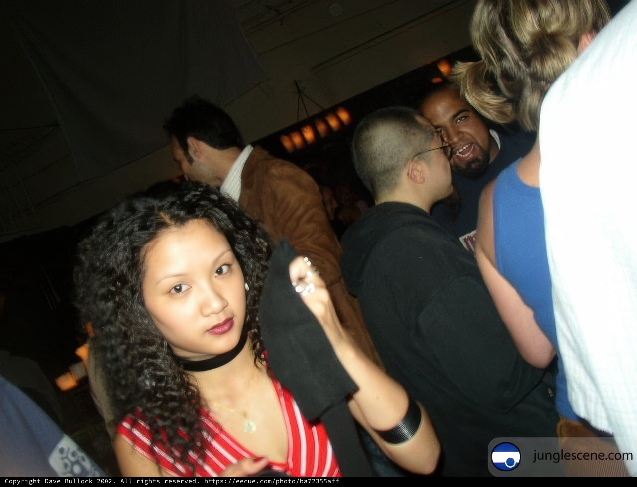Nightclub Fun with a Stylish Crowd